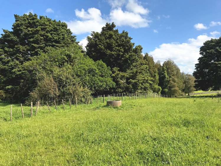 525 Whatitiri Road Poroti_4