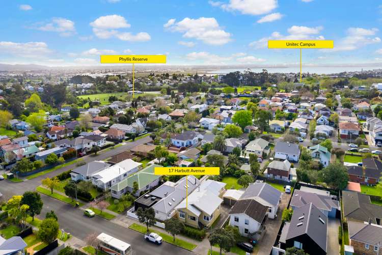 17 Harbutt Avenue Mount Albert_23