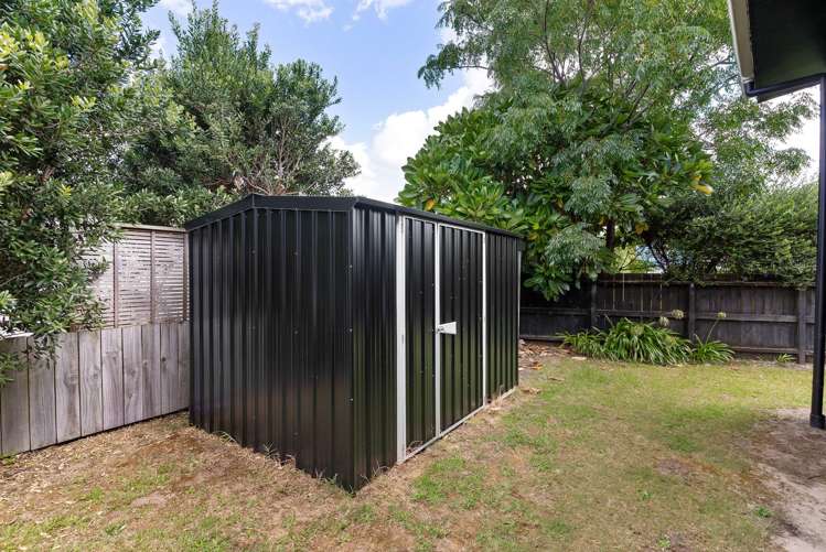 7 Ajax Head Pauanui_22