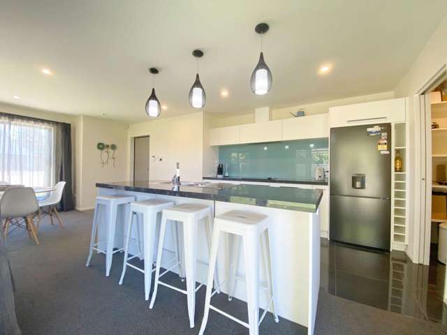 17 Dynes Rd Rolleston_1