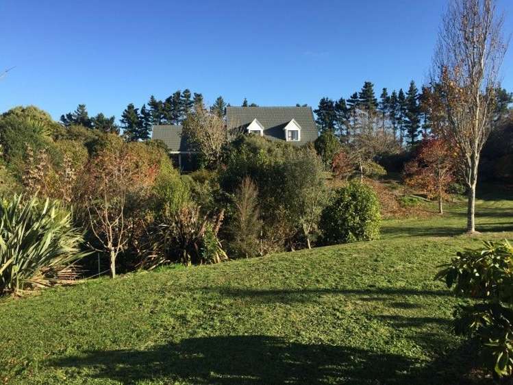 311 Opunake Road Cardiff_27