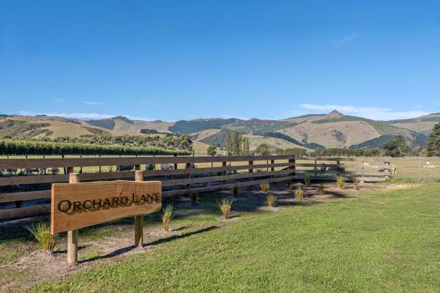 It starts with a dream