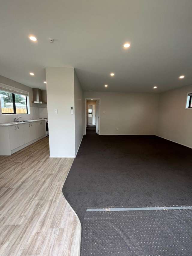 14 Feasegate Street Manurewa_2