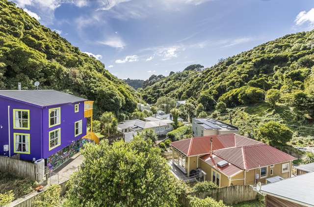 114 Holloway Road Aro Valley_1