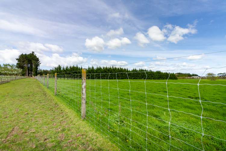 126 Whitmore Road Linton_21