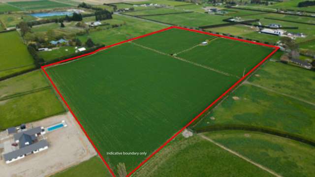 955 Springs Road Prebbleton_2