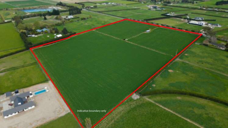 955 Springs Road Prebbleton_2