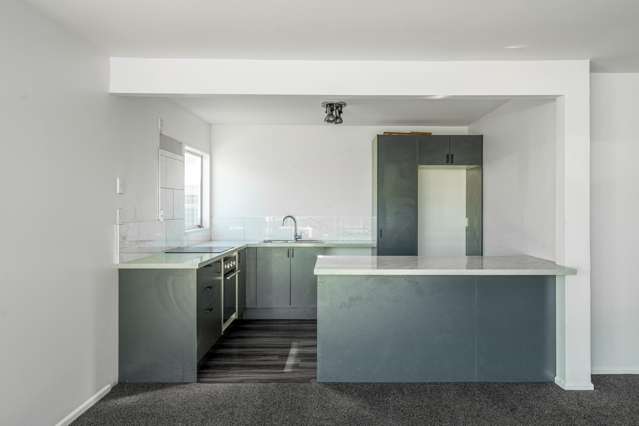 60 Harrow Street Phillipstown_3