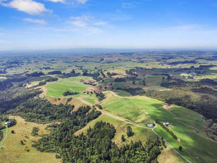 870 Mangati Road Pirongia_12