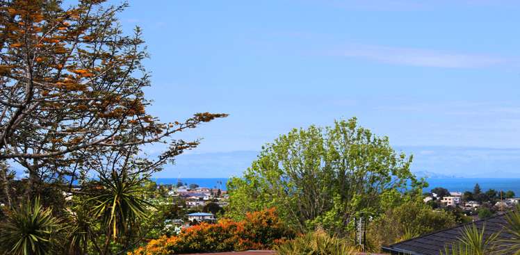 2/283 East Coast Road Mairangi Bay_18