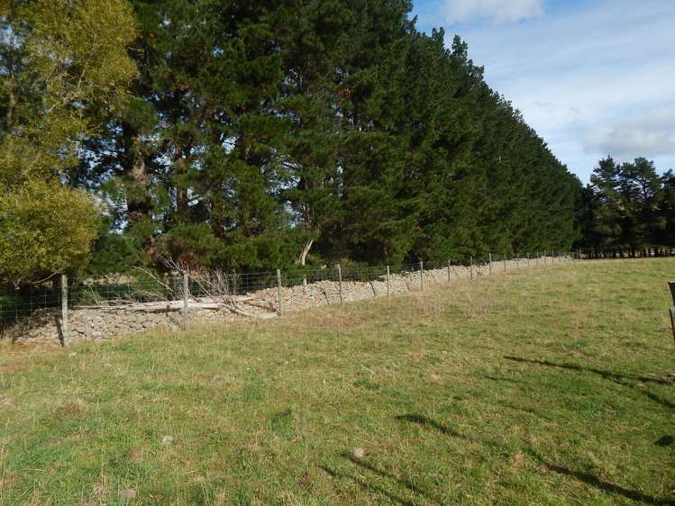 759 Chester Road Carterton_8