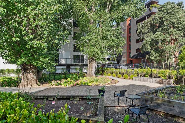 410/1817A Great North Road Avondale_16