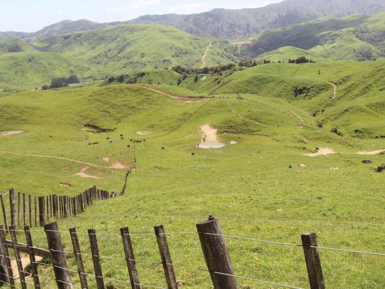 934 Coonoor Road Pahiatua_4