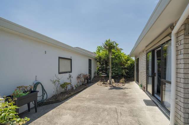 55a Seventeenth Avenue Tauranga South_2