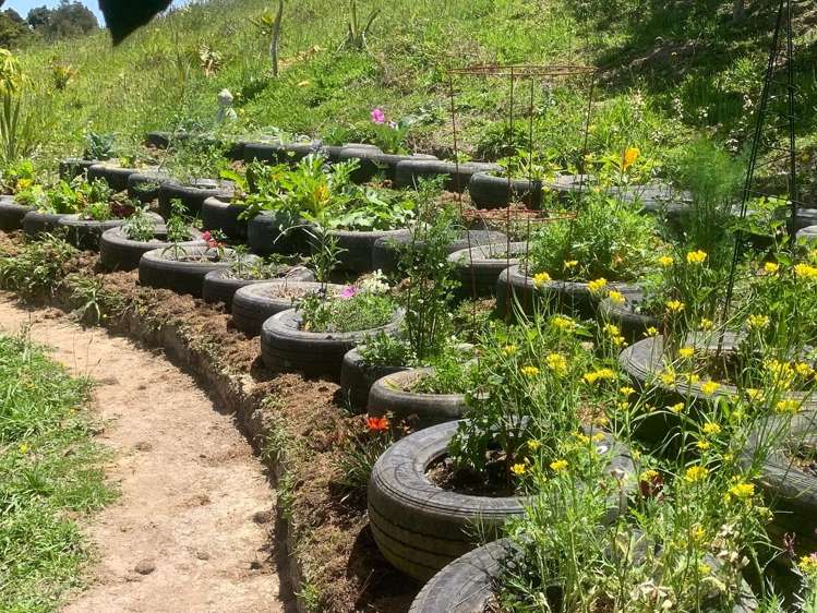 1665 Matapouri Road Matapouri_6