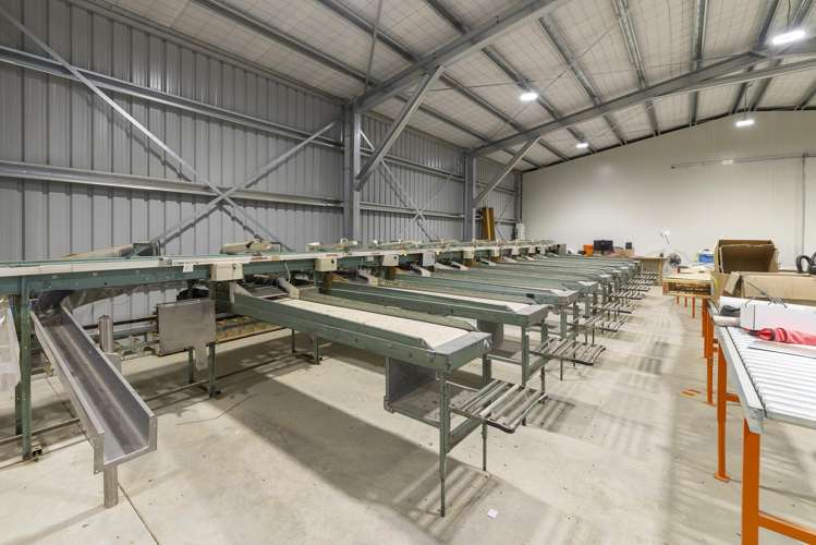 159 Thomson Gorge Road Cromwell_19