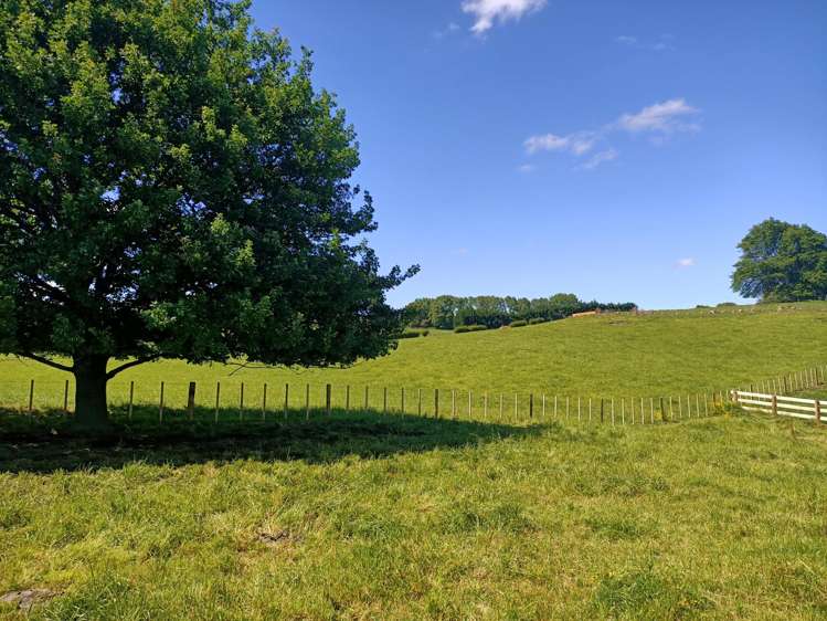 Kuranui Road Morrinsville_8