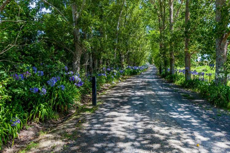 1335 Kahikatea Flat Road Kaukapakapa_26