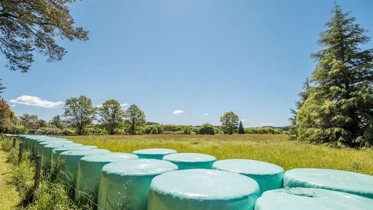 48a Kopuriki Road Murupara Surrounds_6