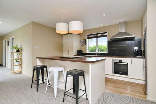 56 Tahuna Street Pegasus_2