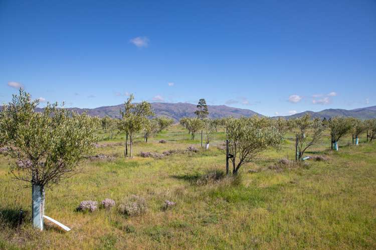 267 Springvale Road Alexandra_23