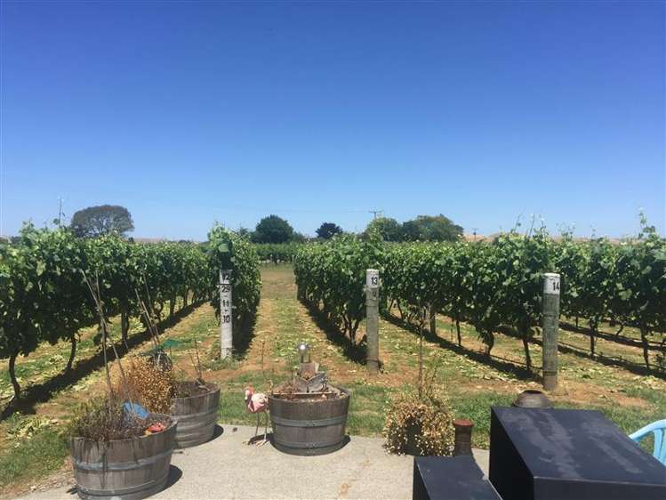 Vineyard Apt/217 Ngatarawa Road 10475_8