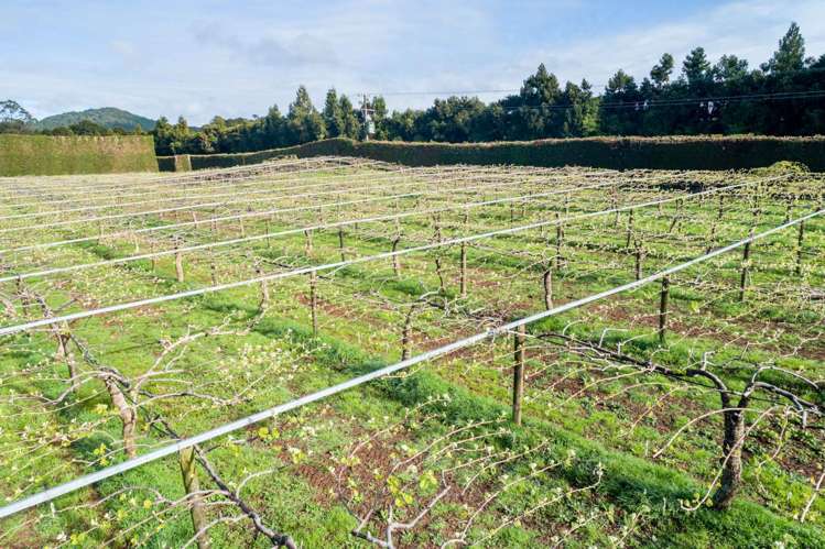 448 Ngunguru Road Glenbervie_10