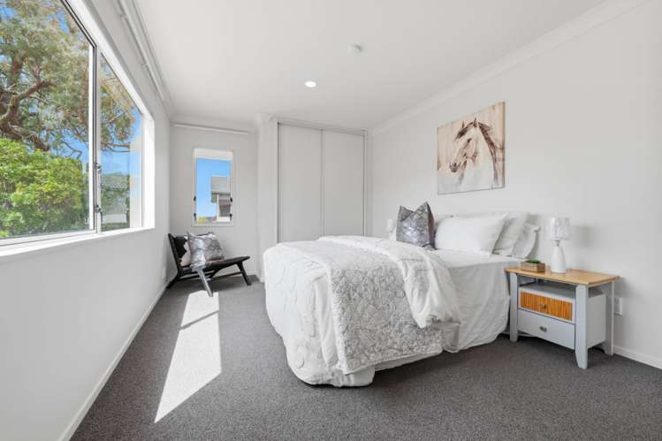 239 Campbell Road Greenlane_9