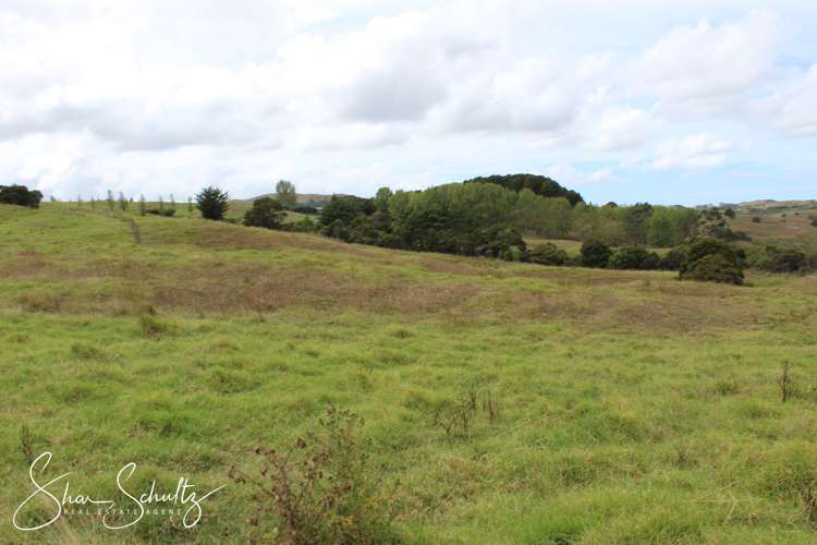 215c Heatley Road Whakapirau_15