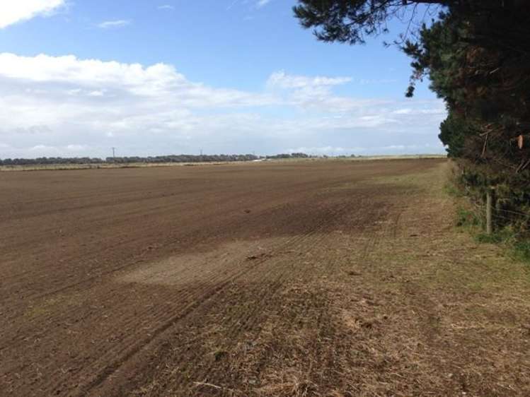 1110 Waimatuku Bush Road Taramoa_19