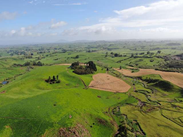 48 Barber Road Otewa_1