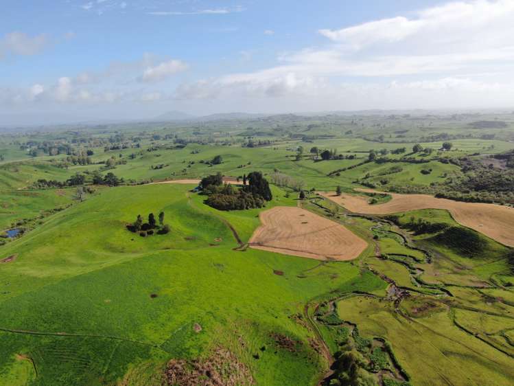 48 Barber Road Otewa_1