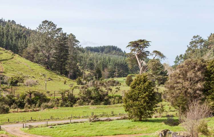 217 Kaimarama Road Kaimarama_12