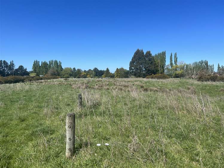 44 Queen Street Balfour_9