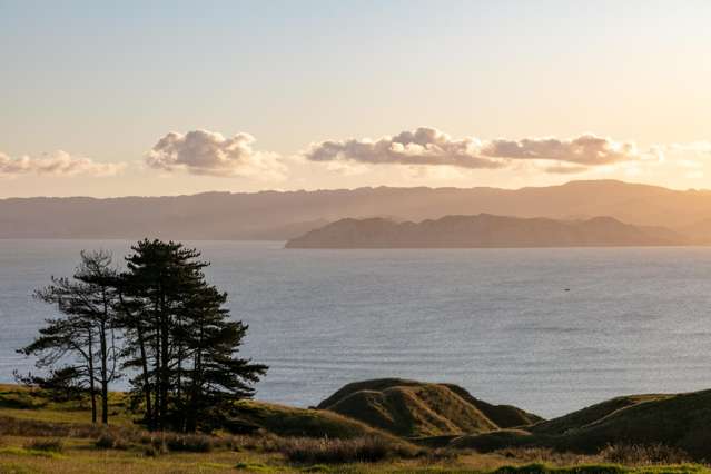 Lot 3/611 Wainui Road Wainui_3