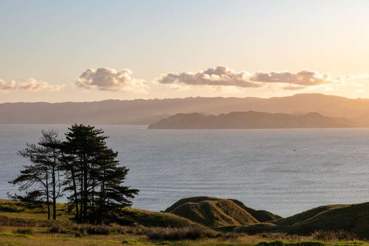 Lot 3/611 Wainui Road Wainui_3