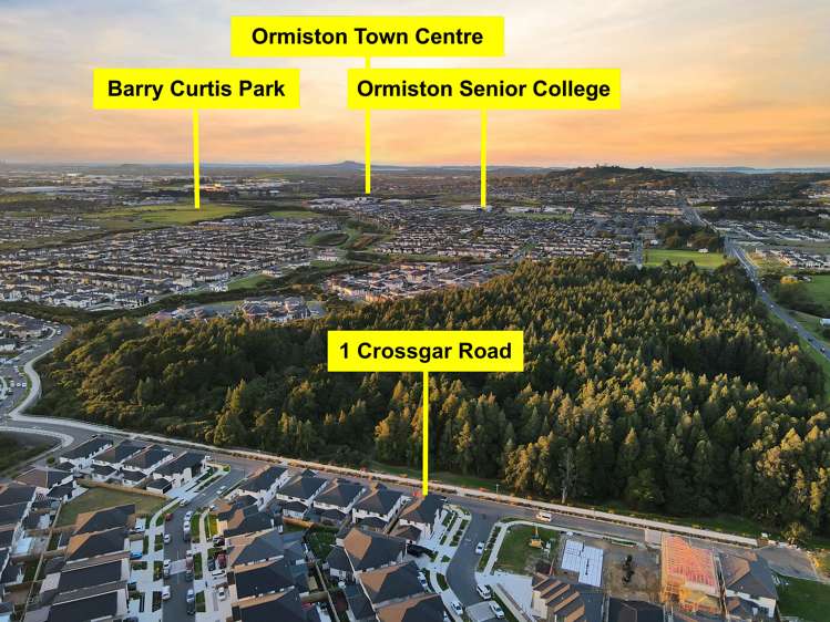 1 Crossgar Road Flat Bush_25