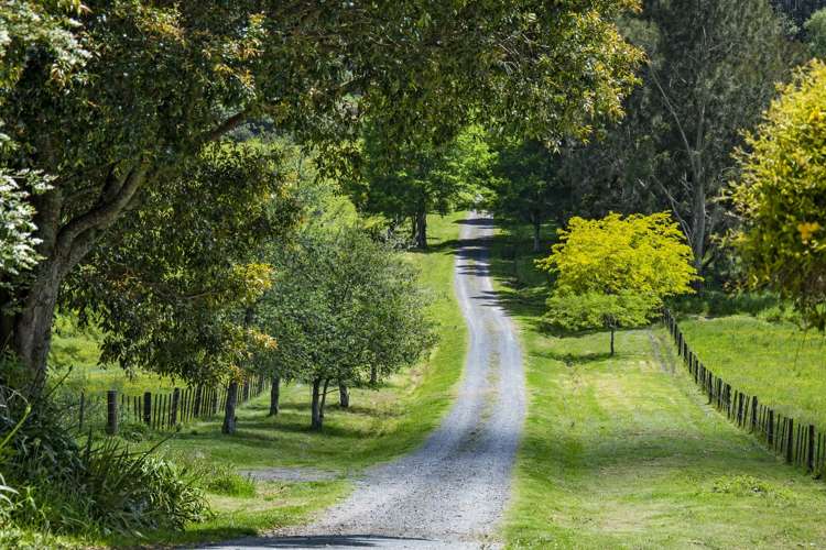 442 Whareora Road Whareora_17