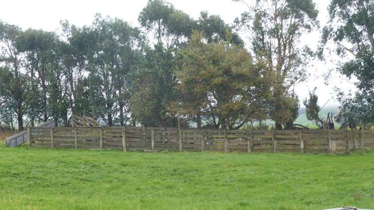 44 Rodgers Road Catlins Surrounds_33