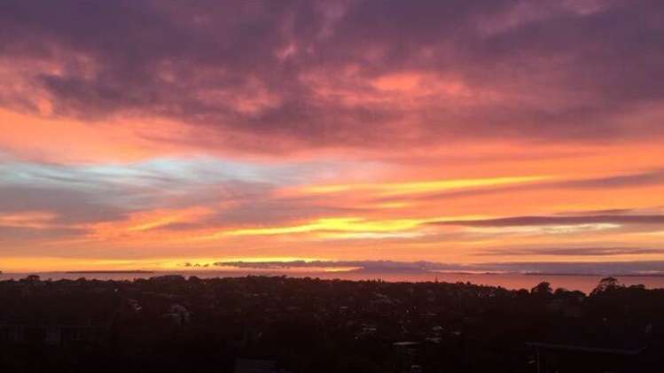 49 Bellbird Rise Murrays Bay_3