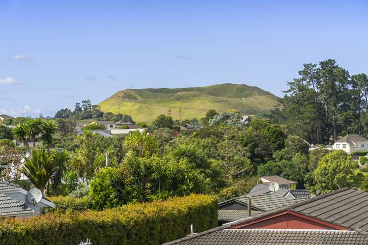 74 Norman Lesser Drive Saint Johns_43