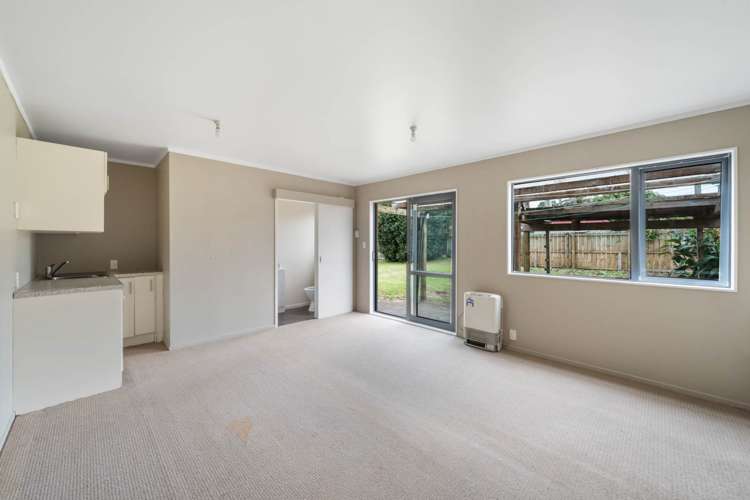 9 Larsen Road Panmure_13