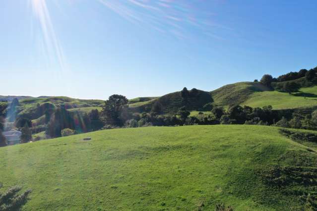 1141 Waingaro Road Glen Massey_4