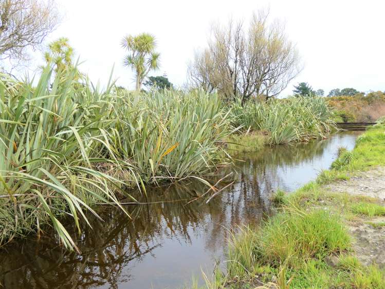 48 Bright Street Cobden_10