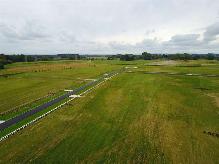 30 Margot Lane Matangi_6