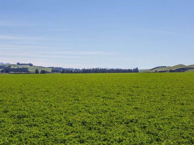 307 Broxton Road MacDonald Downs_18