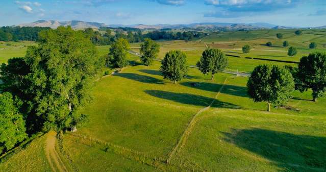 Lot 1 Wharepuhunga Road Te Awamutu_2