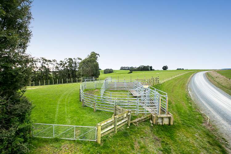 1152 Waitahuna West Road Lawrence_14