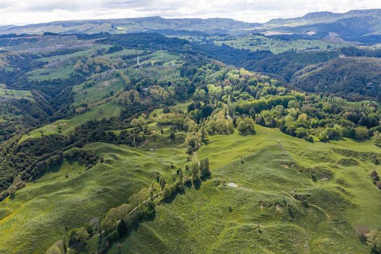 558 Old Coach Road Te Pohue_5