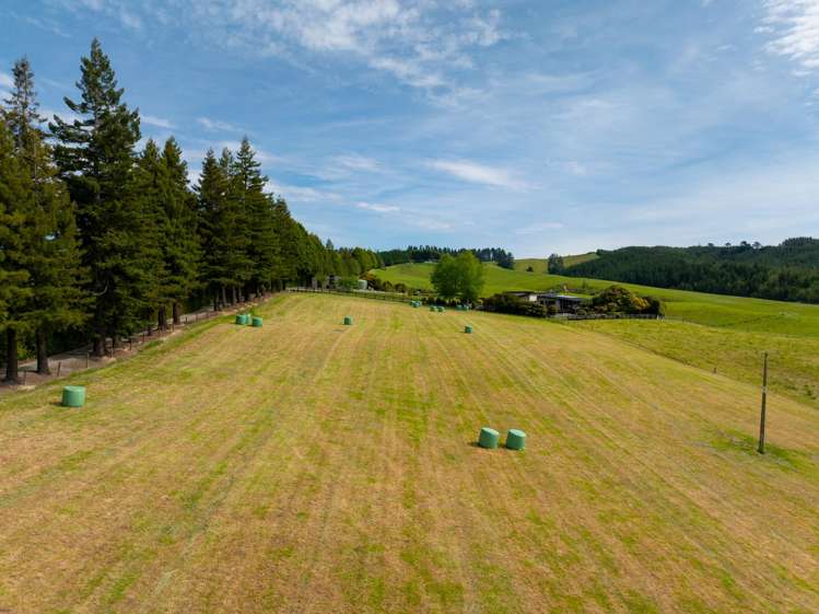 182 Malling Road Redwood Valley_6